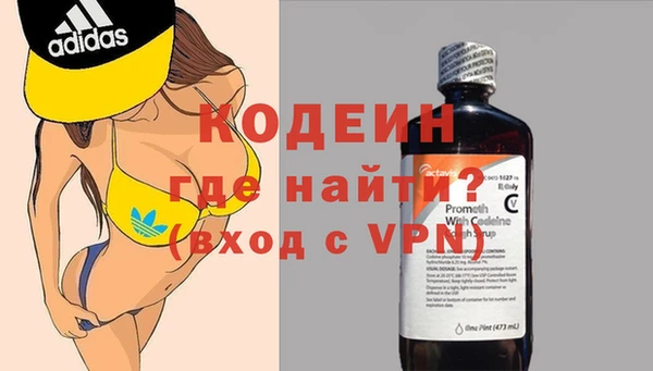 прущие грибы Медвежьегорск