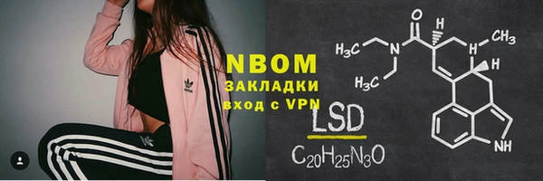 прущие грибы Медвежьегорск