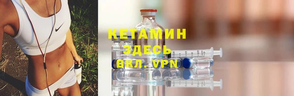 прущие грибы Медвежьегорск