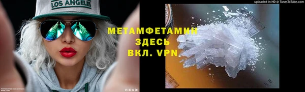 прущие грибы Медвежьегорск