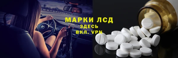 прущие грибы Медвежьегорск