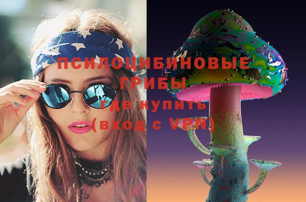 прущие грибы Медвежьегорск