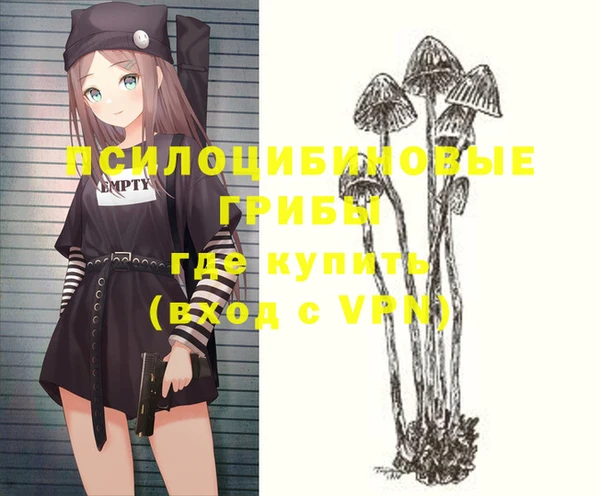прущие грибы Медвежьегорск