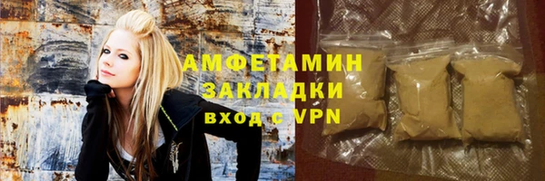 прущие грибы Медвежьегорск