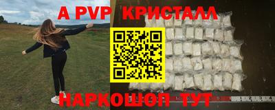 PSILOCYBIN Кингисепп