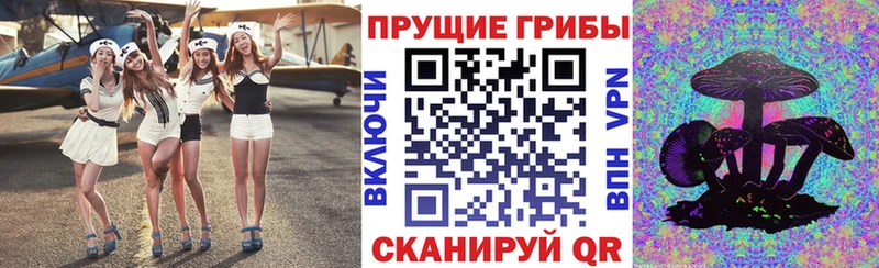 Купить где  Кызыл  Галлюциногенные грибы GOLDEN TEACHER 