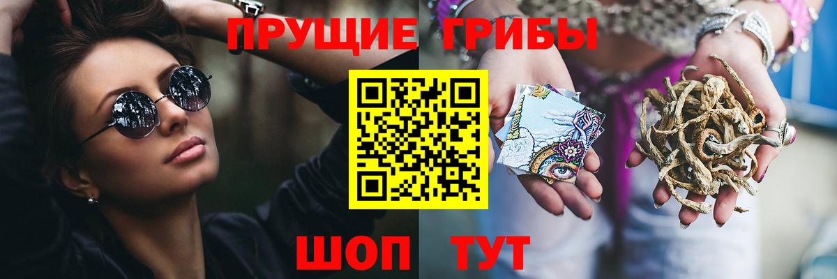 Кызыл  Псилоцибиновые грибы Psilocybe  цены   Вход с VPN 